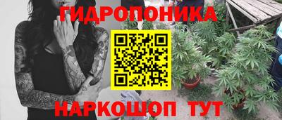 кокс Гагарин