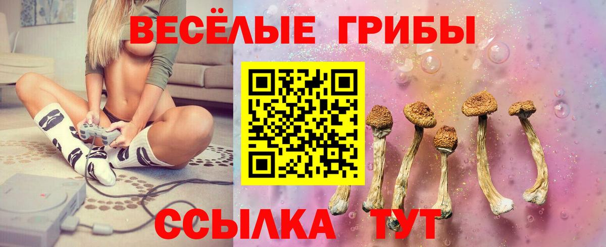 Псилоцибиновые грибы прущие грибы Мичуринск