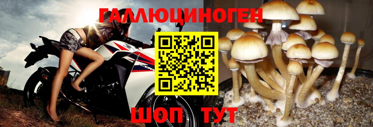 Псилоцибиновые грибы ЛСД  Вход с VPN  Галлюциногенные грибы GOLDEN TEACHER  Мичуринск 